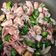 Cooksnap dari rini utami untuk resep 34. Oseng Cumi Asin Pedas Cabe Ijo