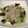 El cooksnap de Alicita cuando hizo Ensalada templada de gulas y setas.
