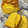 El cooksnap de Diliana4all cuando hizo Bizcocho de calabaza y nueces.