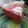rhiannonquandt's cooksnap of when they made Cranberry Cream Pie.