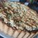 El cooksnap de Micaela Aguirre cuando hizo Tarta de coco y dulce de leche.