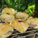 Cooksnap dari Yumna Hanifa untuk resep Bolen pisang puff pastry