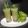 Archana Devi ( Chaurasia)'s cooksnap of when they made Aam Panna(Traditional summer drink).