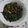 Cooksnap dari Sri Suharni untuk resep Tumis daun pepaya gak pahit looo