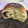 El cooksnap de sandra.huelmo@yahoo.com cuando hizo Pan dulce con chips de chocolate.