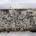 Cooksnap dari nisa asriani untuk resep FUDGY BROWNIES gampang banget