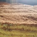 El cooksnap de Sofia Navone cuando hizo Tiramisú.