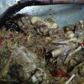 Cooksnap dari Riska Rakhmawati untuk resep Entok/bebek rica rica (LLA)