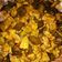 Cooksnap dari Meika untuk resep Tumis terong bumbu kecap