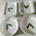 Cooksnap dari Hamidatul Husnah untuk resep Lumpur surga