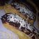 Cooksnap dari Rizki Pratiwi untuk resep Eclairs