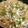 Diksha Singh's cooksnap of when they made Veg Fried Rice.