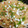 Diksha Singh's cooksnap of when they made Veg Fried Rice.