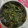 Chitra Kumar's cooksnap of when they made சிறுக்கீரை மிளகு பொறியல்.
