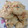 El cooksnap de Anto Estevez cuando hizo GALLETAS DE AVENA CON PASAS DE UVA 🍪 🍇.