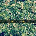 صورة من 👑 ﻛﻮﻳﺘﻴﻪ ﻭ ﺃﻓﺘﺨﺮ 👑 Queen 3washa 👑، شاركها بعد تجربة وصفة تبوله
