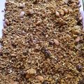 El cooksnap de Maria Celina Eslava cuando hizo GRANOLA CASERA, Fácil, RICA, SALUDABLE!✨.