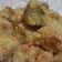 Cooksnap dari Maya Mayski untuk resep Misoa goreng panir