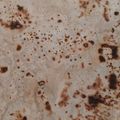 Saira Abdullah's cooksnap of when they made Roti.