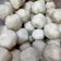 Cooksnap dari Selvi Sujianto untuk resep Pempek keju