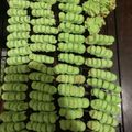 Cooksnap dari Yuli Karnawati untuk resep Semprit tepung larut