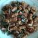 Cooksnap dari Smbah M Basuki A untuk resep Orek Tempe Basah