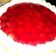 El cooksnap de maria anabela meza cuando hizo Tarta de frutillas con Crema.