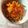 Cooksnap dari nofa untuk resep Tumis Kerang+Kacang yummy
