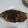 Cooksnap dari Vitri Rahayu untuk resep IKAN BAKAR Pedas Manis