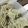 Cooksnap dari Ghina Arifah Ulya untuk resep Homemade Noodle (Mie Wortel & Mie Bayam)