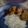 Cooksnap dari Virlia Rizqi untuk resep Ayam tempe bacem simple no ribet