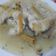 El cooksnap de josi E. cuando hizo Congrio con patatas.