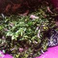 H Maigaree's cooksnap of when they made Kwadon zogale(moringa salad).
