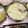 Chetana Bhojak's cooksnap of when they made राजस्थानी बाजरा खिचड़ा(Rajasthani Bajra khichada recipe in Hindi).