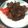 Cooksnap dari Naufal Farizky untuk resep Ayam kecap bawang bombay