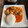 El cooksnap de Nacho Albarrán cuando hizo Albóndigas de ternera y brócoli en salsa de tomate (Instant Pot).