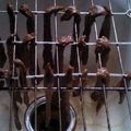 Stephen 's cooksnap of when they made Best Beef Jerky Ever.