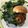El cooksnap de Leticia Romero cuando hizo Hamburguesa picante de frijol y avena.