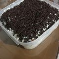 Cooksnap dari Tien Amry Astuti untuk resep Setup roti tawar kejumeses