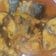 Cooksnap dari Laila Nurlina untuk resep Tongkol Masak Gulai Aceh