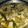 Cooksnap dari yuni untuk resep Sayur Lodeh Terong Tahu Kacang Panjang