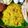 Subhasree Santra's cooksnap of when they made বাসন্তী পোলাও (Basonti polao recipe in bengali).