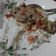 El cooksnap de Loury Valks cuando hizo Pechuga de pollo con crema de leche y vegetales.