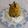 Ketki Dave's cooksnap of when they made સ્વામિનારાયણની કઢી ખીચડી (Swaminarayan Kadhi Khichdi Recipe in G.