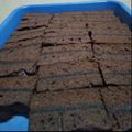 Cooksnap dari linda untuk resep Brownies Kukus Amanda