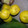 El cooksnap de Becky cuando hizo MERMELADA DE ARAZA.