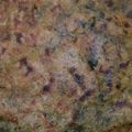 Sonakshi mittal का कुकस्नैप जब उन्होंने मेथी का पराठा (methi ka paratha recipe in Hindi) बनाया था।