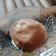 Cooksnap dari ganeshalestari untuk resep Milo Ice Cream