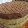 Cooksnap dari shita07 untuk resep Sponge cake