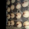 صورة من Zawji Habibi، شاركها بعد تجربة وصفة غريبية الزيت